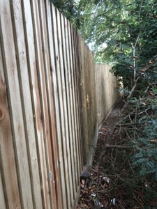 Landscaping