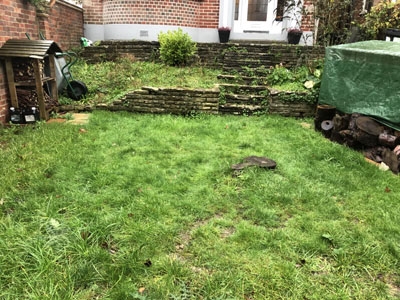 Landscaping