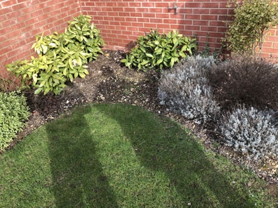 Lawn