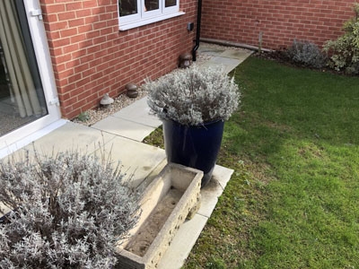 Lawn