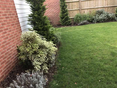 Lawn