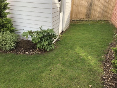 Lawn
