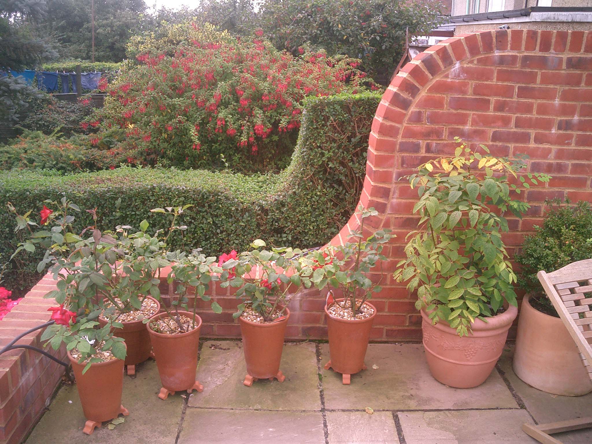 Garden Design