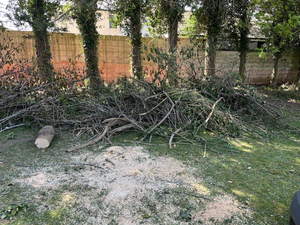 Landscaping